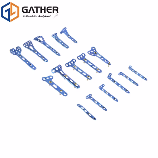 Titanium Distal Humerus Lateral Plate 3mm Orthopedic Locking Plate